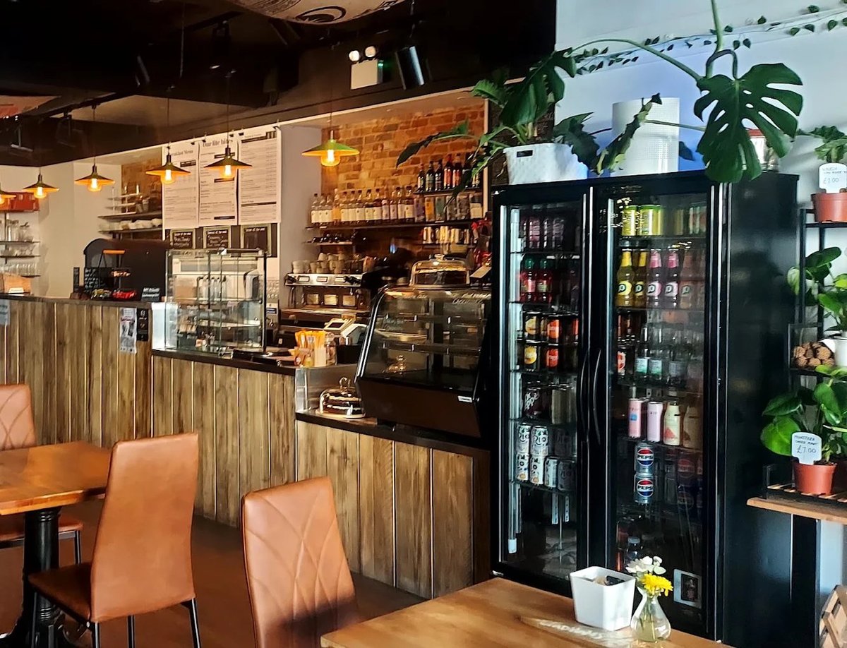 Wadhams café interior with wooden counter, orange chairs, beverage coolers, potted plants and ambient pendant lighting